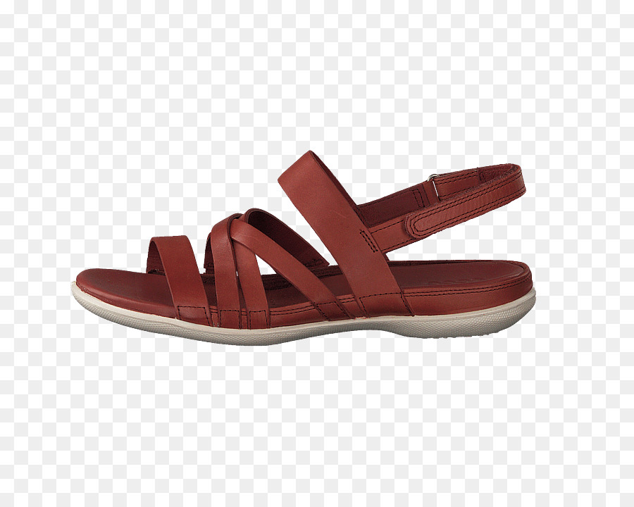 Chaussure，Ici PNG