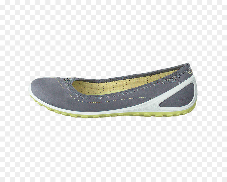 Chaussure D'argent，Chaussure PNG