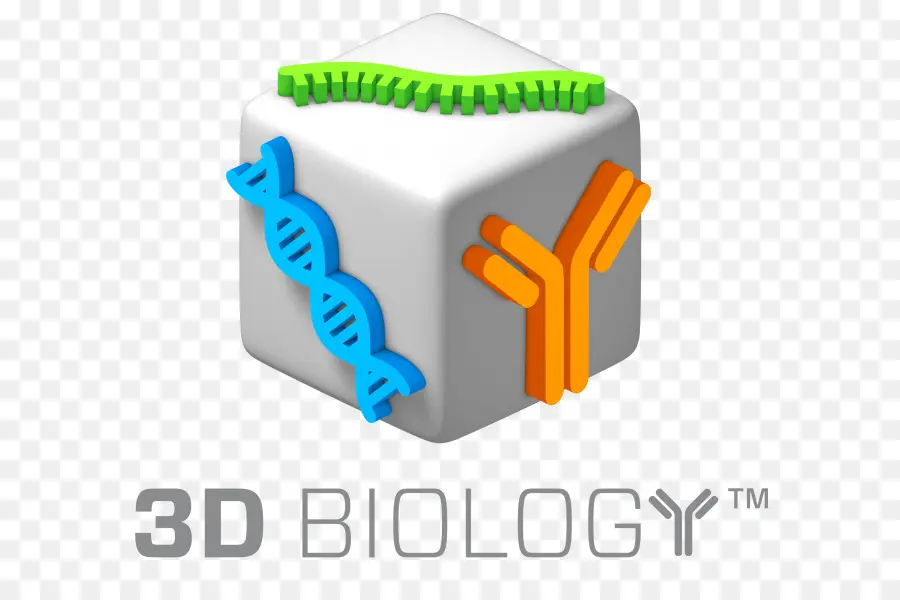 Biologie 3d，Science PNG