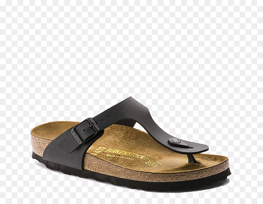 Pantoufle，Birkenstock PNG