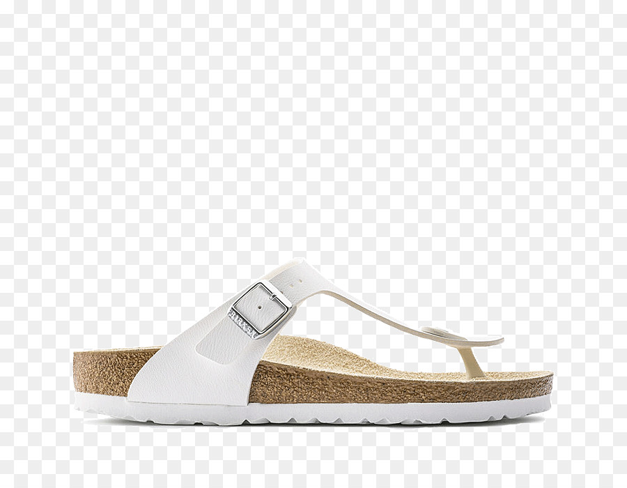 Pantoufle，Birkenstock PNG