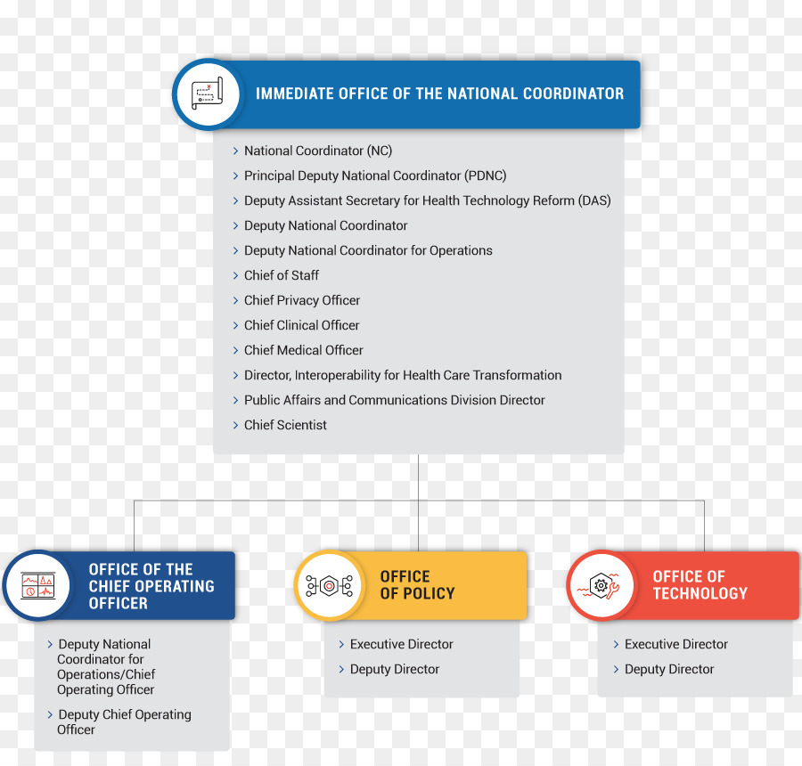 Organisation，Organigramme PNG