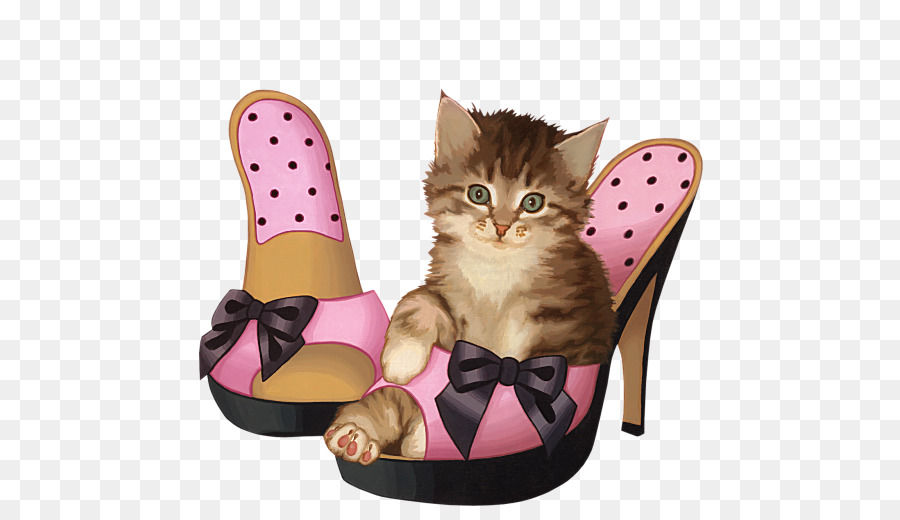 Chaton Dans Une Chaussure，Chaton PNG