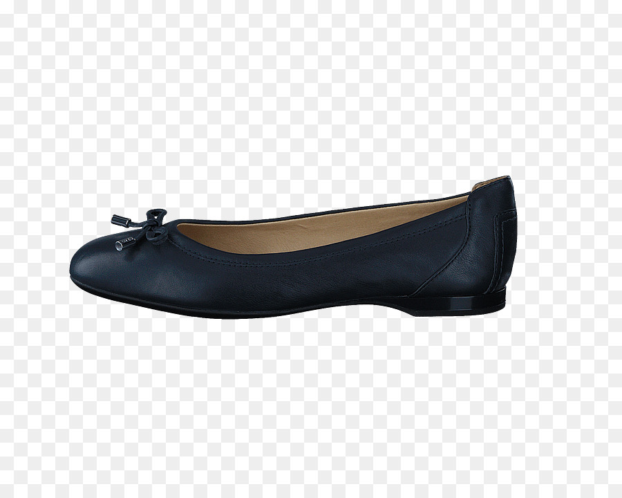 Chaussure，Ballet Plat PNG