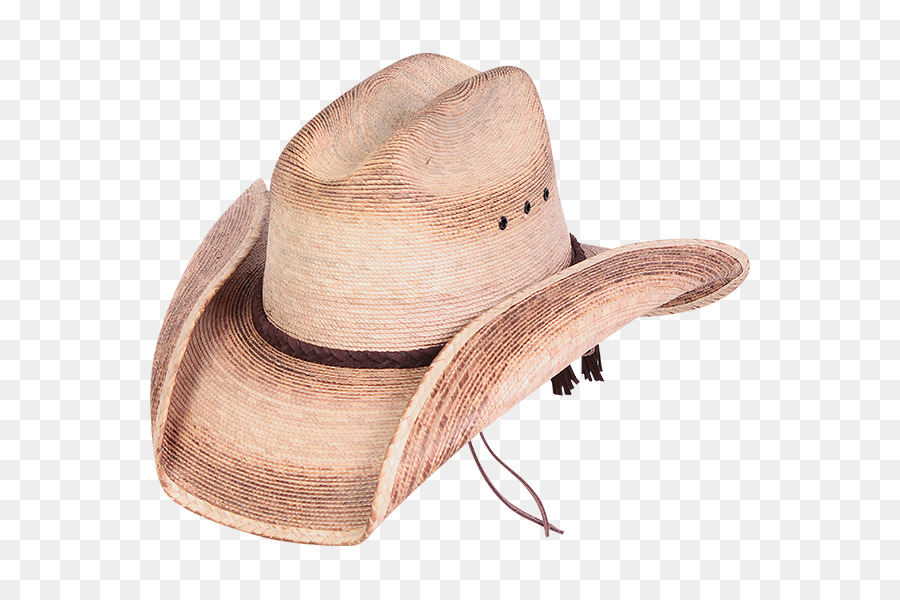 Brésil，Chapeau PNG