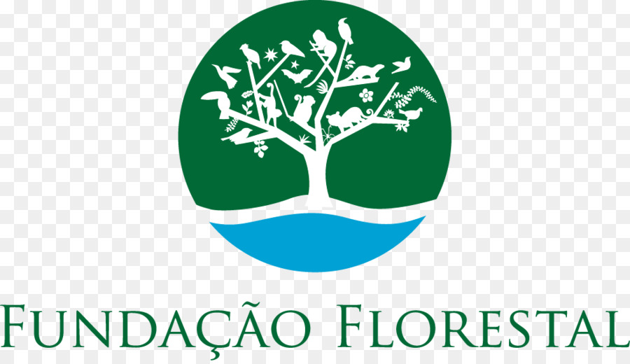 Sao Paulo，Fondation Pour La Conservation Des Forêts Et La Production De L état De São Paulo PNG