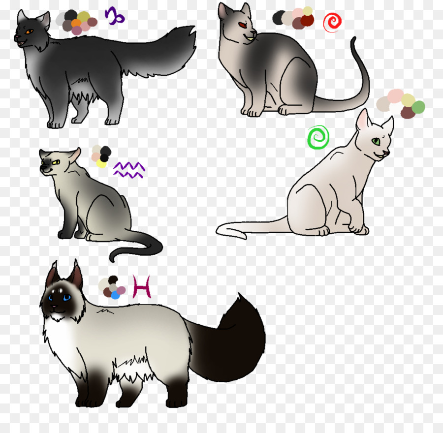 Chaton，Moustaches PNG