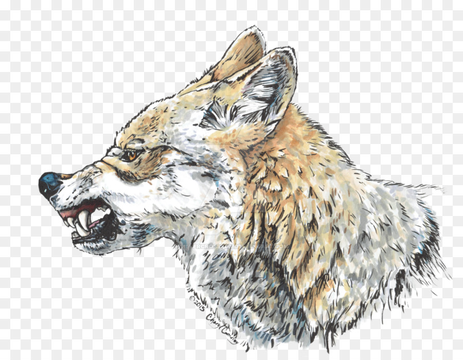 Renard Rouge，Loup PNG