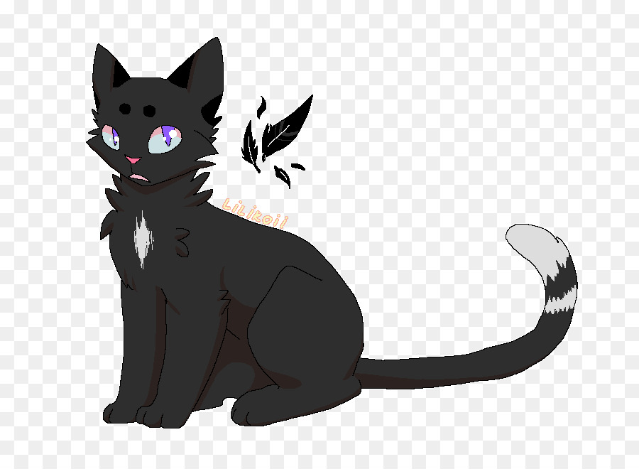 Chat Noir，Animal De Compagnie PNG