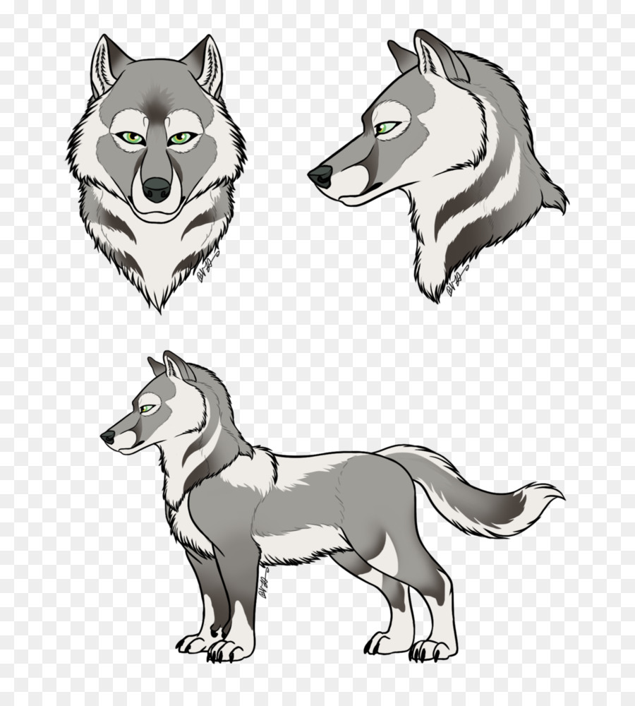 Loup，Gris PNG