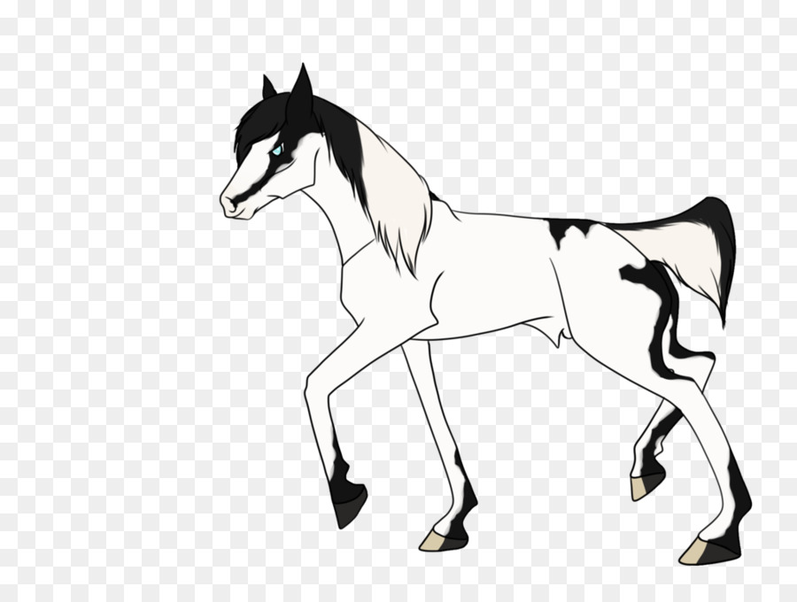 Cheval，équidé PNG