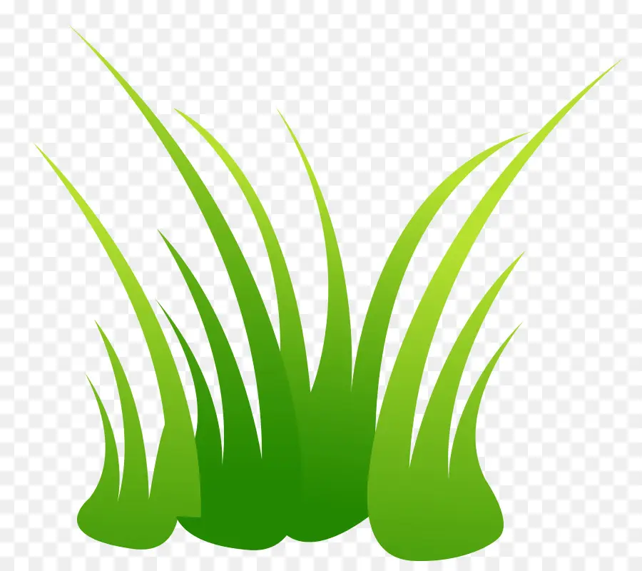 Herbe Verte，Nature PNG