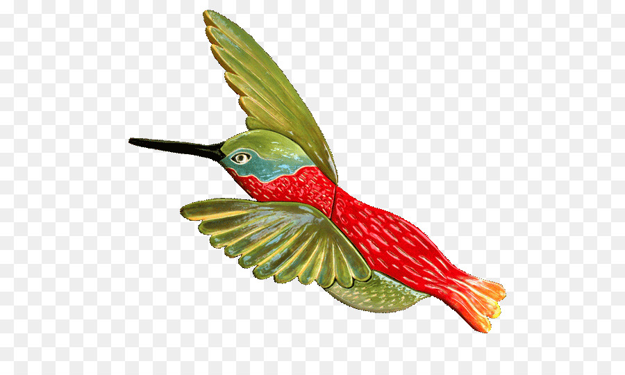 Colibri，Céramique PNG