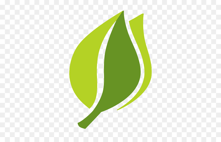 Feuille，Usine PNG