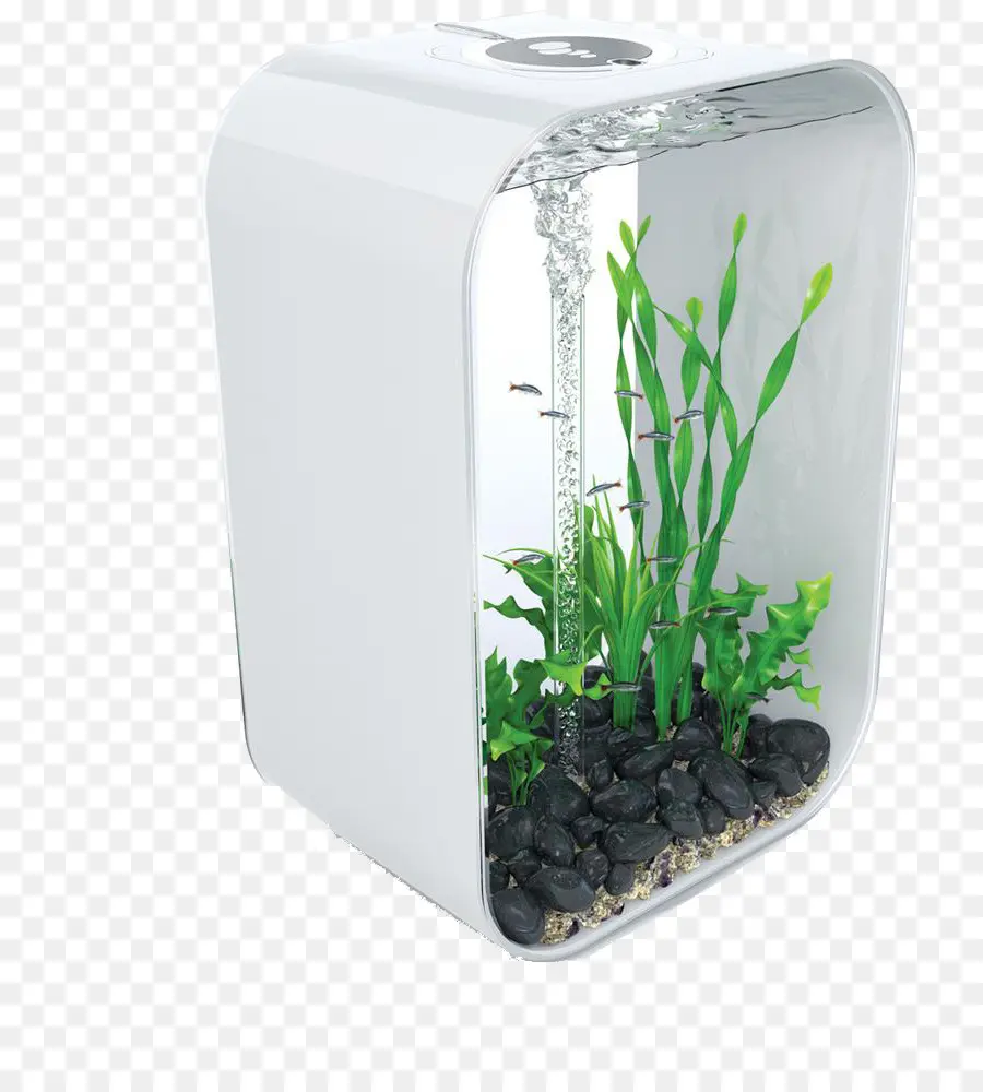 Aquarium Moderne，Aquarium PNG