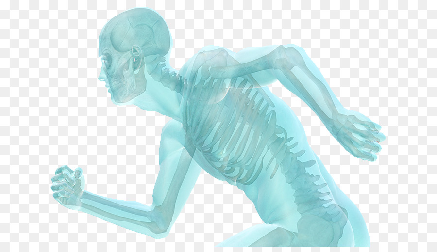 La Chirurgie Orthopédique，La Thérapie PNG