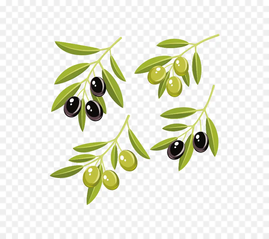 Olive，L Huile D Olive PNG