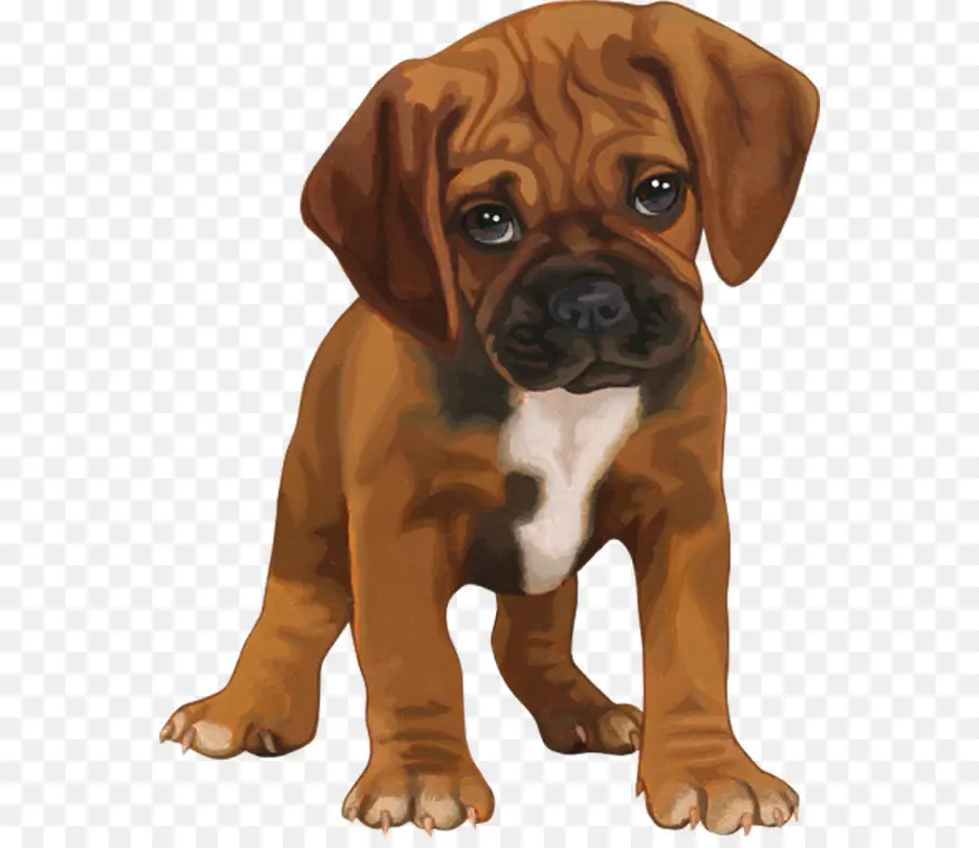 Chiot，Chien PNG