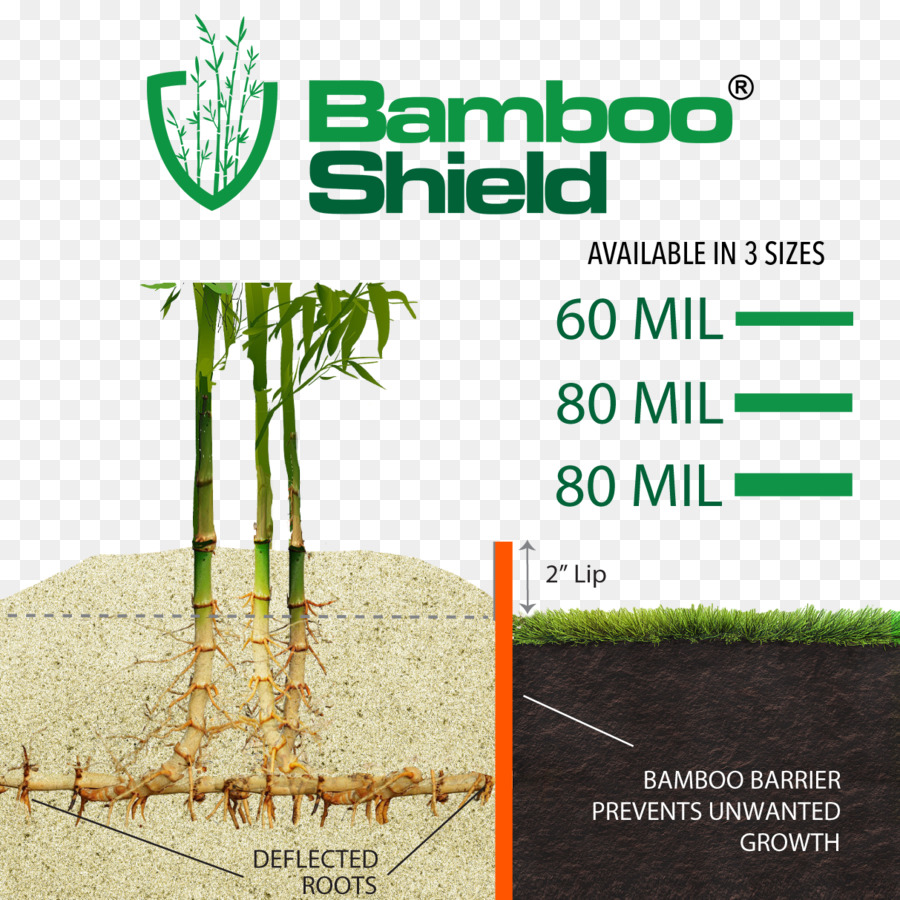 Bambou，Herbes PNG