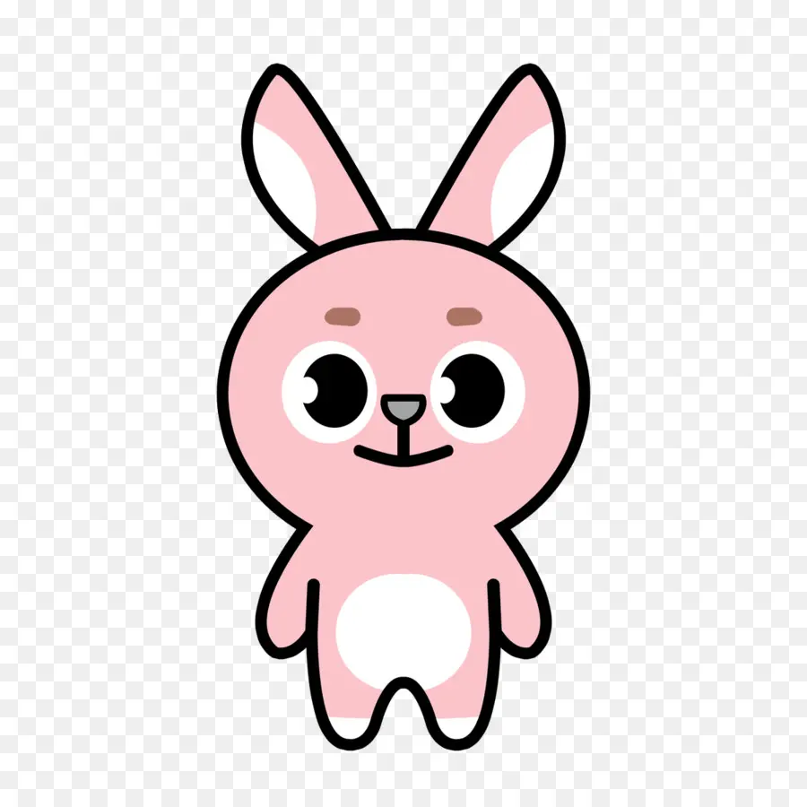 Vidéo，Lapin PNG