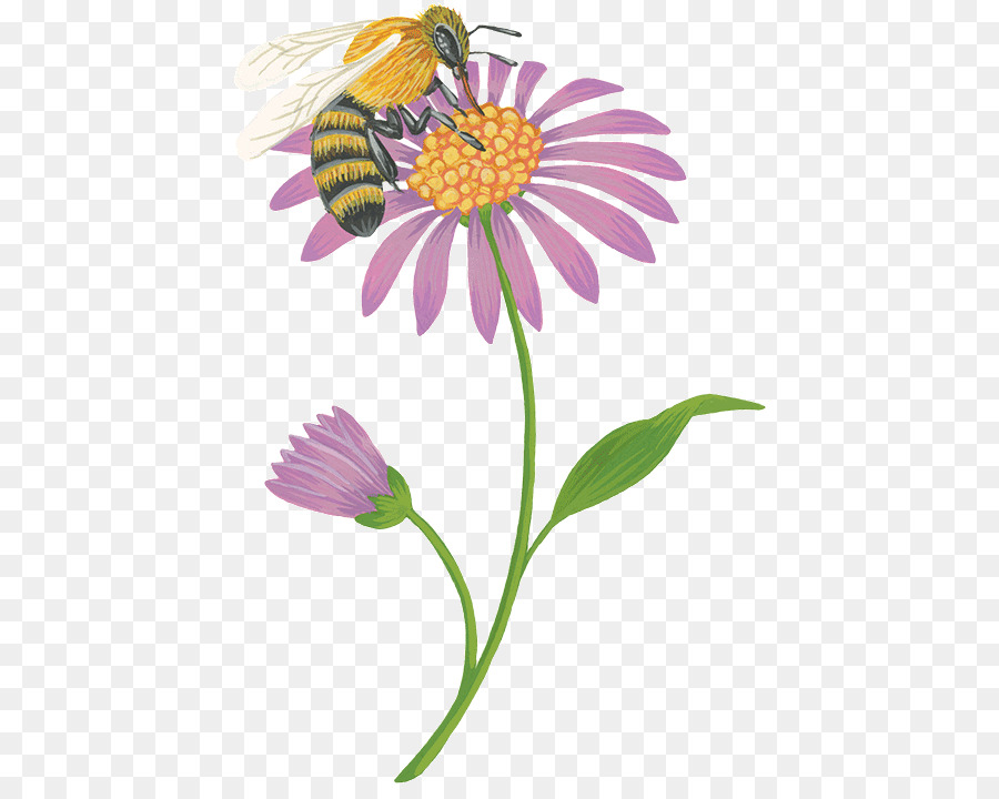 Fleur，Abeille PNG