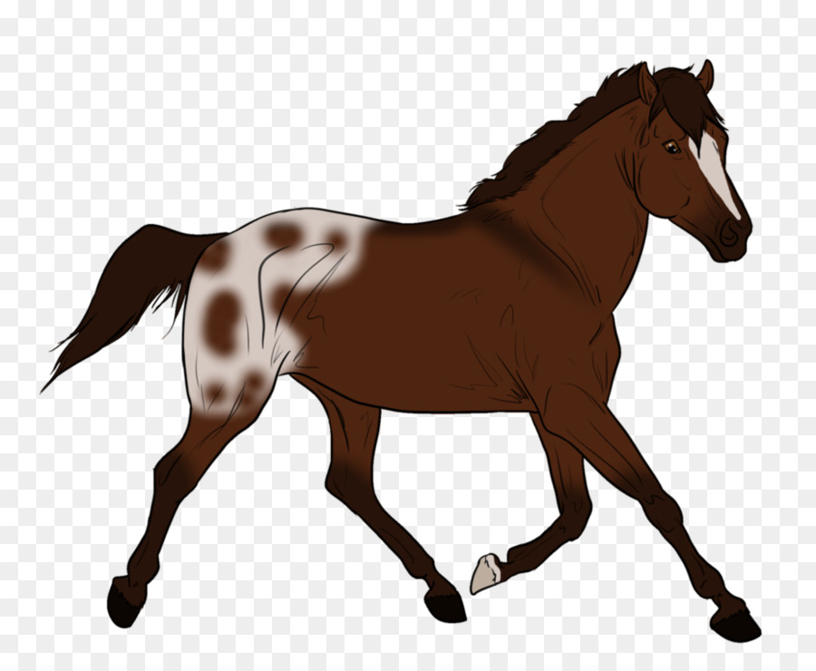 Cheval，Autocollant Mural PNG