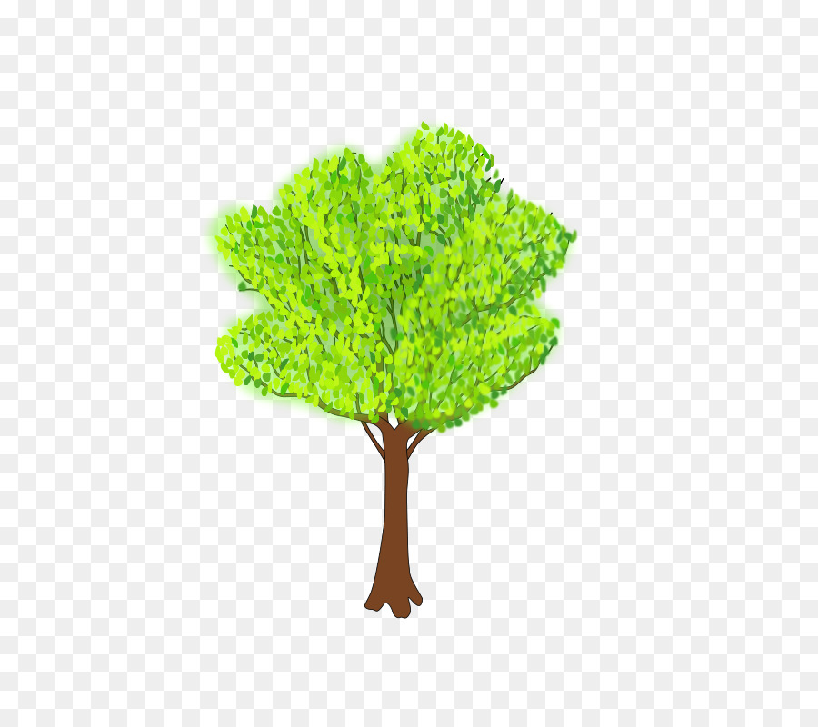 Arbre Vert，Nature PNG