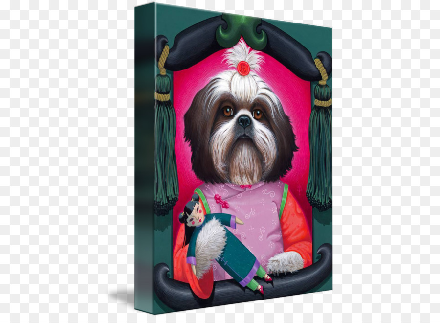 Shih Tzu，Race De Chien PNG