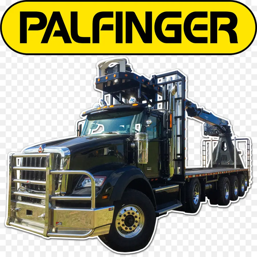Palfinger，Palfinger Sany International Des Grues Mobiles De Sales Gmbh PNG