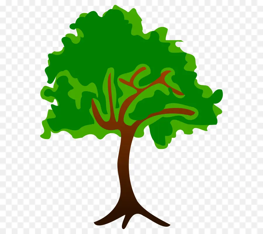 Arbre Vert，Feuilles PNG