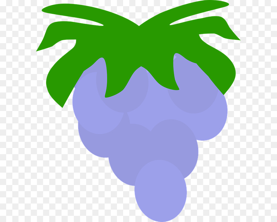 Raisin，Fruits PNG