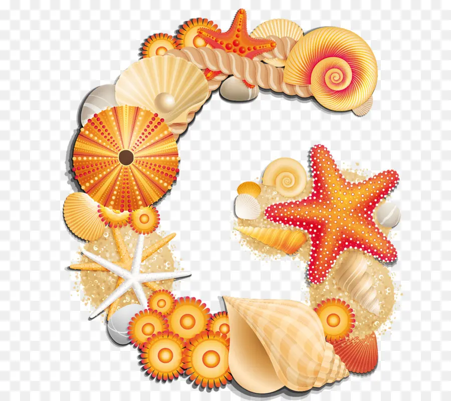 Coquillages，Étoile De Mer PNG