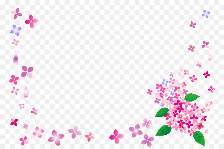 Cadre Floral，Fleurs PNG