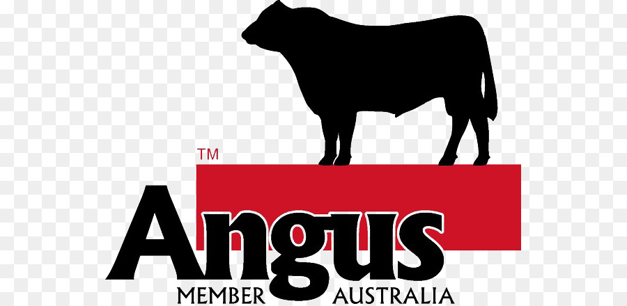 Angus，Australie PNG