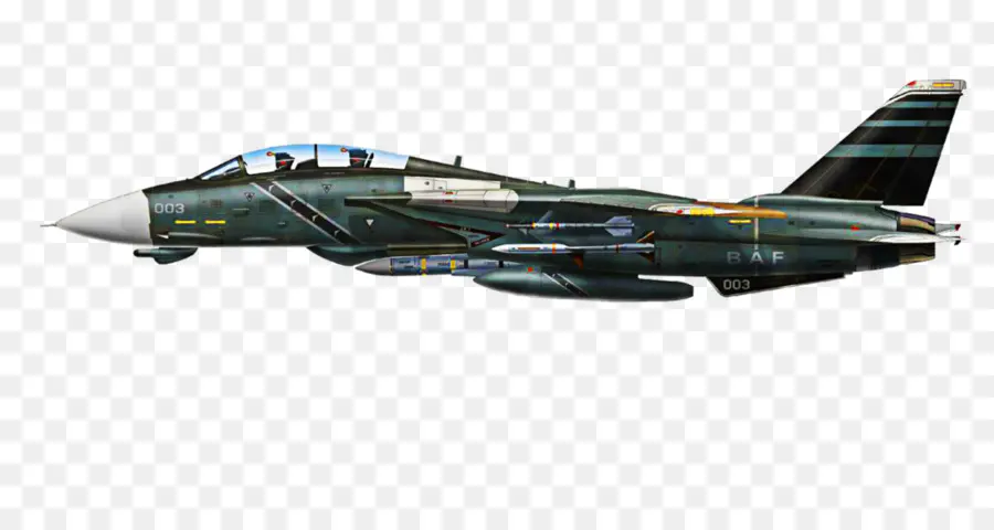 Grumman F14 Tomcat，Ace Combat Zero La Guerre Belkan PNG