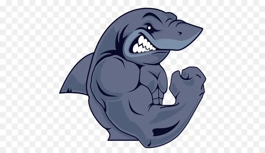 Gymnaseshark Ltd，Requin PNG