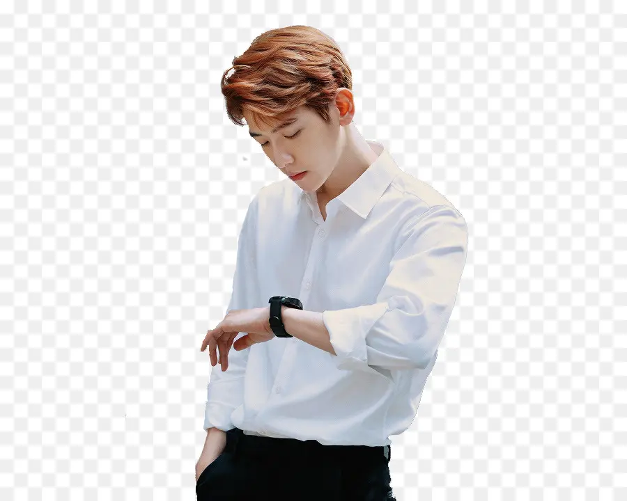 Baekhyun，Exo Planète 4 L'eℓyxion PNG