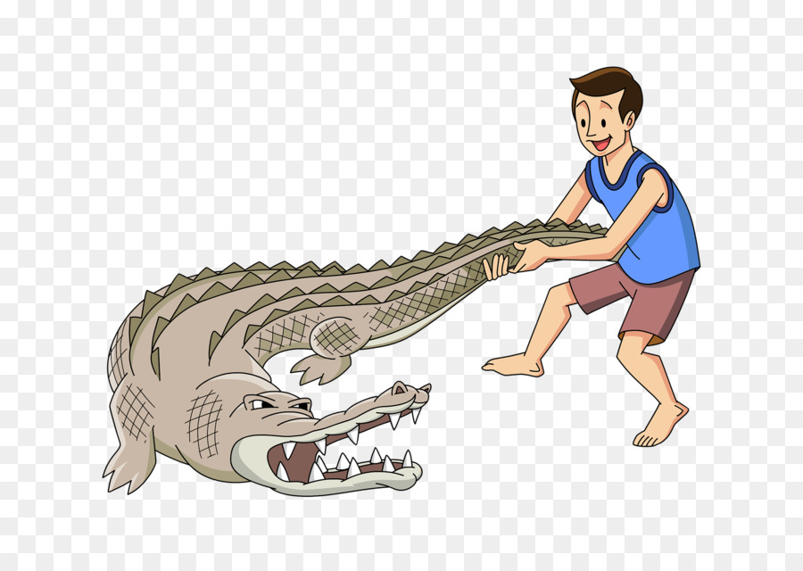 Crocodile，Les Alligators PNG