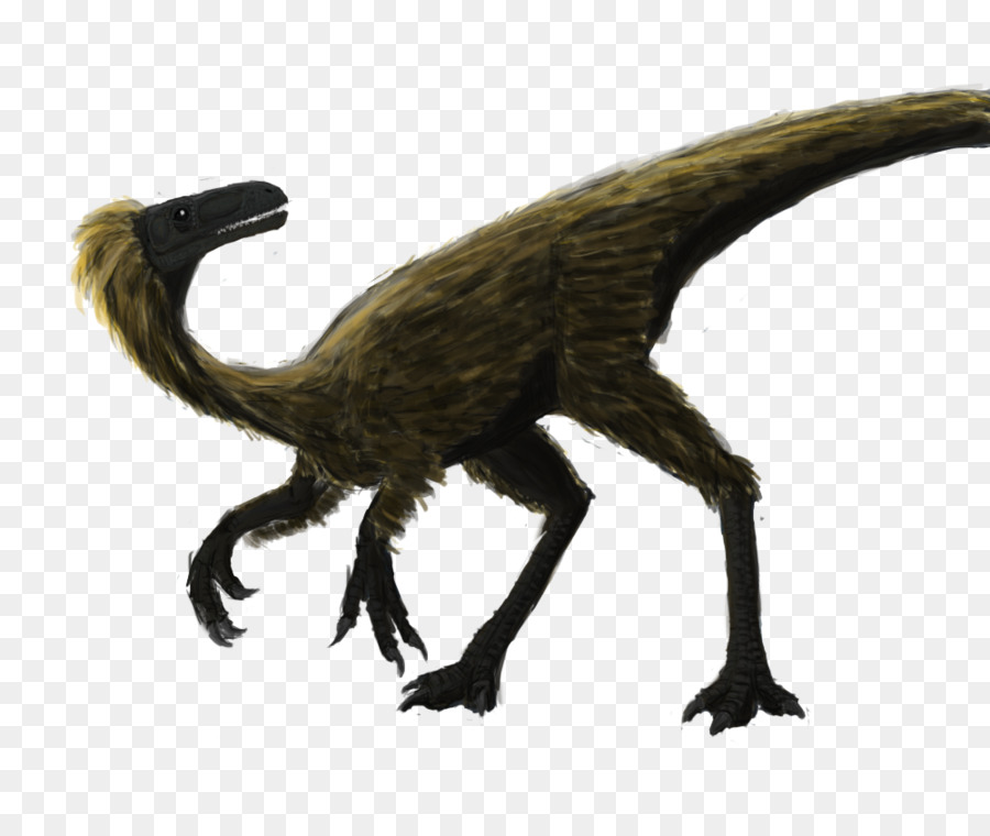 Velociraptor，La Faune PNG