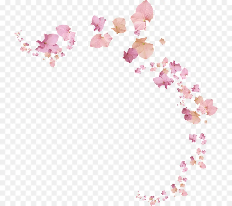 Fleur，Internet PNG