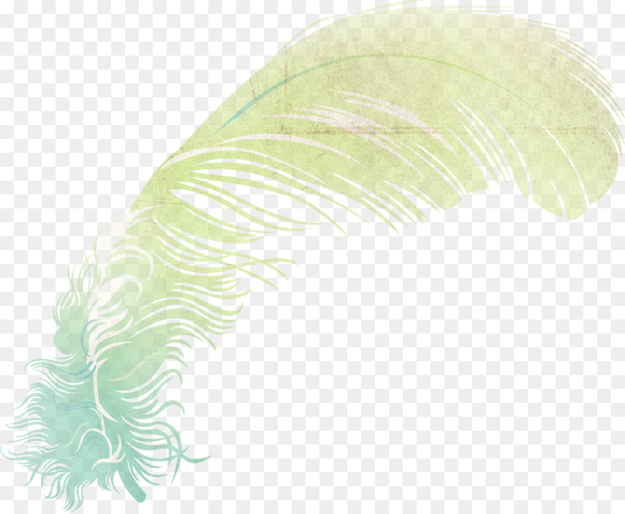 Plume，Feuille PNG