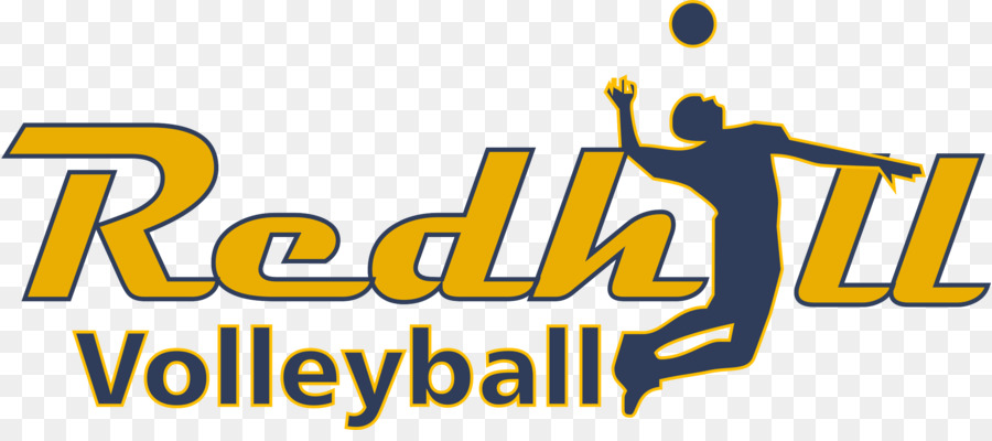 Logo De Volley Ball，Sportif PNG