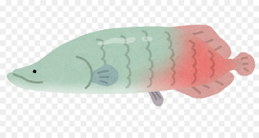 Les Poissons，Arowana PNG