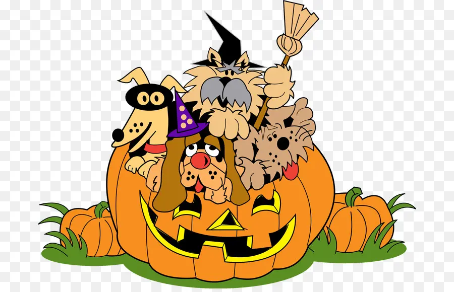 Animaux De Compagnie D'halloween，Animaux De Compagnie PNG