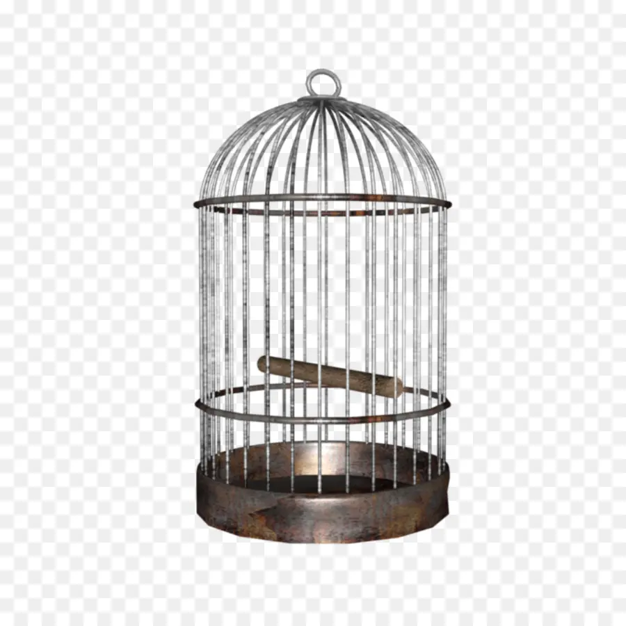 Cage à Oiseaux，Enceinte PNG