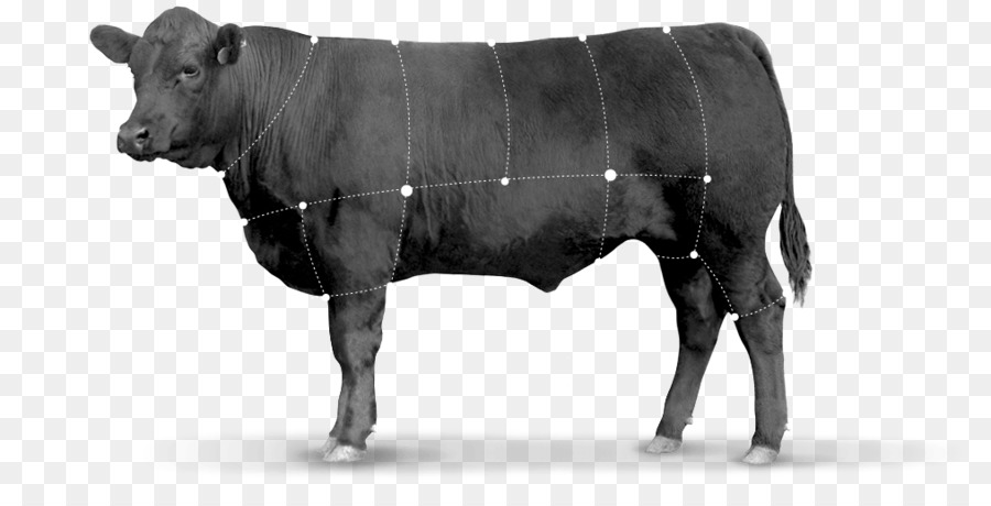 Diagramme De Vache，Vache PNG