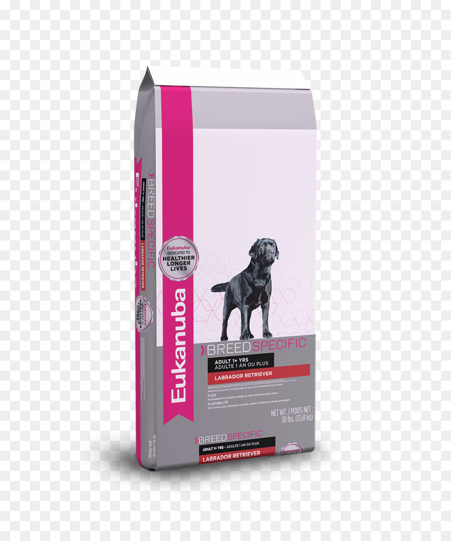 Le Labrador Retriever，Eukanuba Spécifiques à Une Race Labrador Retriever Adulte Aliments Secs Pour Chiens PNG