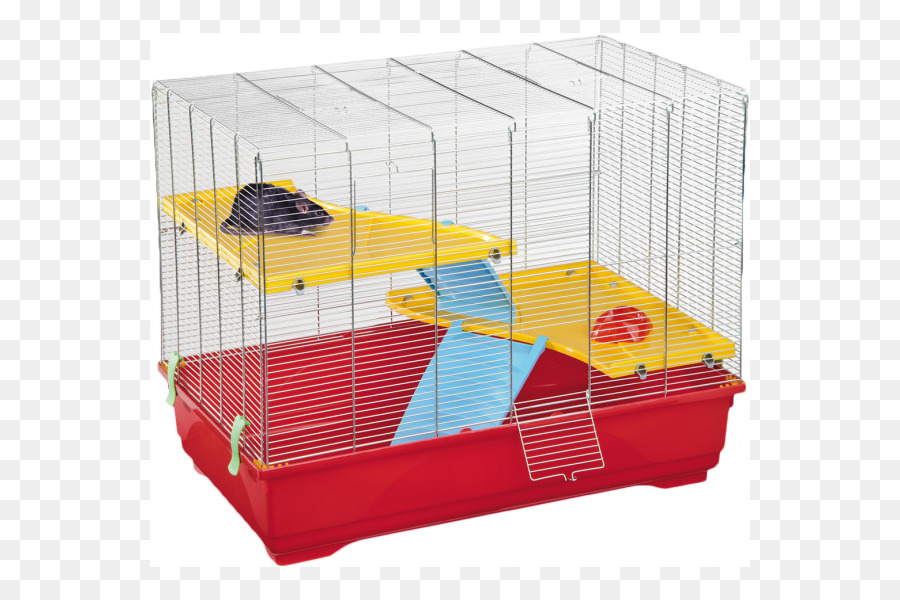 Cage，Rat PNG