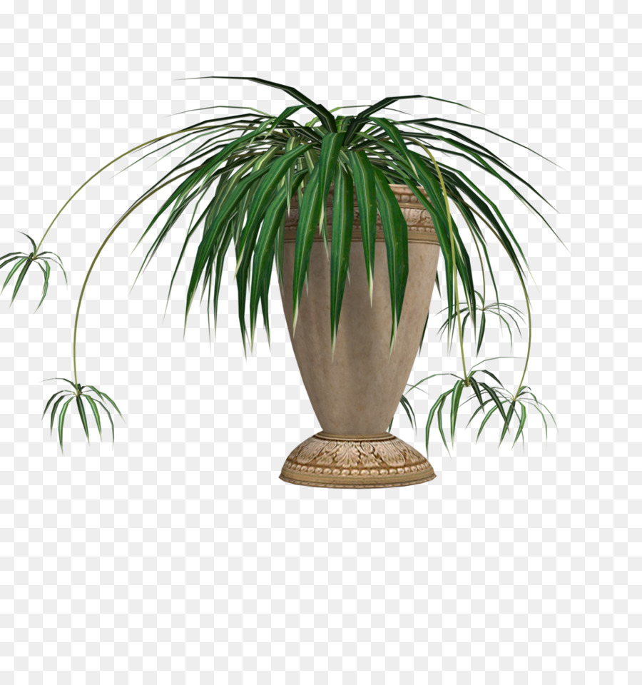 Plante Verte，Feuilles PNG