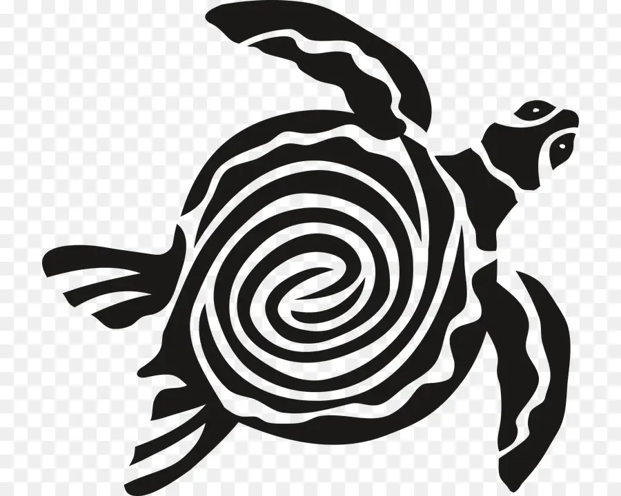 Tortue，Spirale PNG